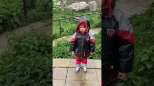 Рык Динозавра # динозавр