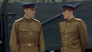 Черные кошки 12