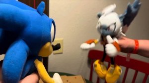 Sonic Plush - Sonic and Friends go to Great Wolf Lodge!