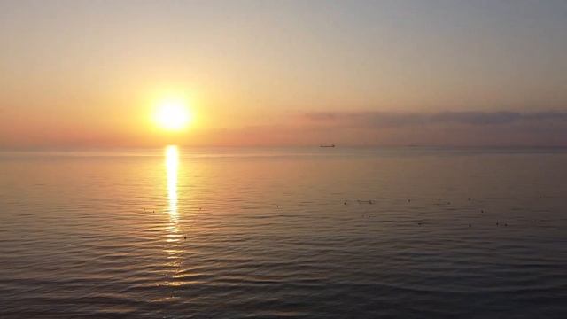 EMU Beach Club смотреть онлайн