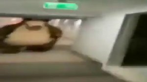 медведь бежит по коридору под музыку