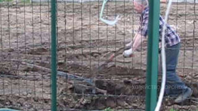 Применение куриной подстилки с помётом