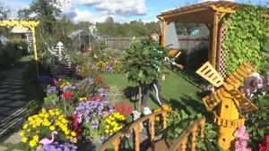 6 соток 10 сентября 2020 года. В гости на соседние 12 соток. Обработала смородину, крыжовник...