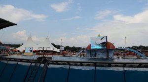 Шоу касаток 4, "Маринленд", г. Антиб, Франция