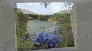 Оренбуржье край чудесный