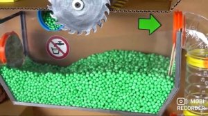 Хомяк проходит сумасшедшие испытания!