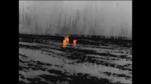 Охота на косулю с подхода зимой 2023.Быстрая охота.