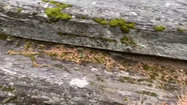 Delightful Norway! Дождливая Норвегия восхитительна!