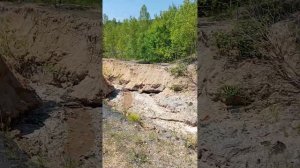 озеро "Зеленка". Реттиховка. Приморский край