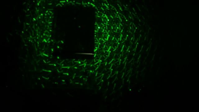 (UUS!) Laser Show. смотреть онлайн