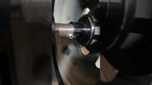 Белшина Бел - 119