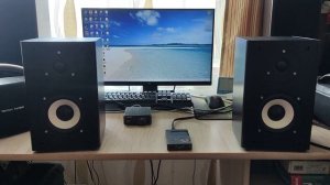 Microlab solo 1 (passive upgraded)