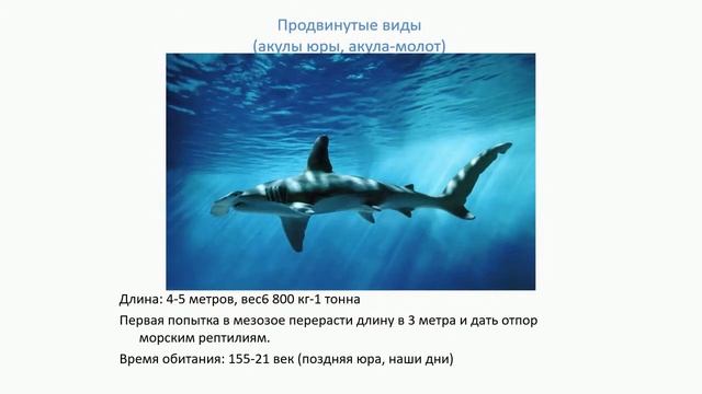 Акулы часть 3 смотреть онлайн