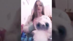 Мои любимые мягкие игрушки*)))                                              #Кристинавсёещёребёнок)