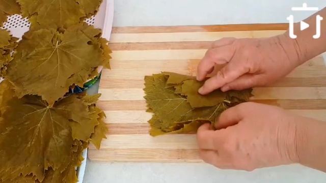 En Pratik Ve Kolay Yöntemle Asma Yaprağı Nasıl Saklanır ? Yaprak Saklama Yöntemleri
