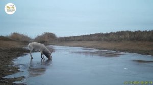 Приоткрывая заповедные двери… Степная кооперация