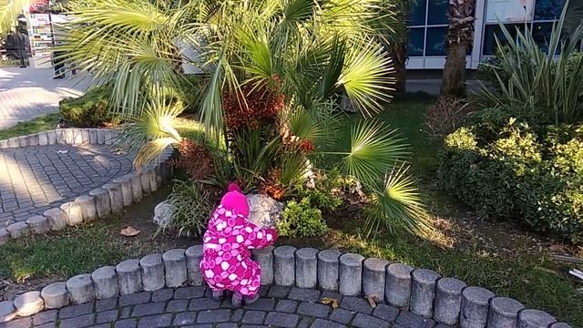 9 декабря, Сочи смотреть онлайн