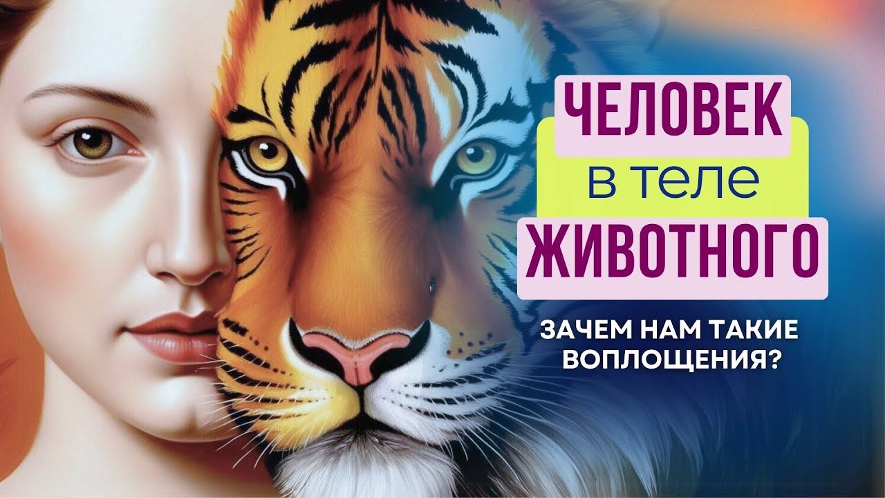 ЧЕЛОВЕК в теле ЖИВОТНОГО - зачем нам такие воплощения? смотреть онлайн