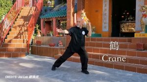 Why Lei Wulong Is a Perfect Jackie Chan