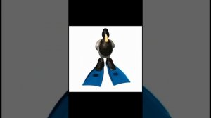 утка крутиться 1 час мем