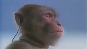 Нашид про Ахмада Афанди