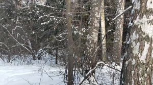 На восходе: Всемирный день без мобильного телефона. Давайте будем не в смартфоне а со смартфоном!📱