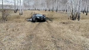 Проверка медведя на приваде, приготовление 3 бочки (со сгущёнкой)