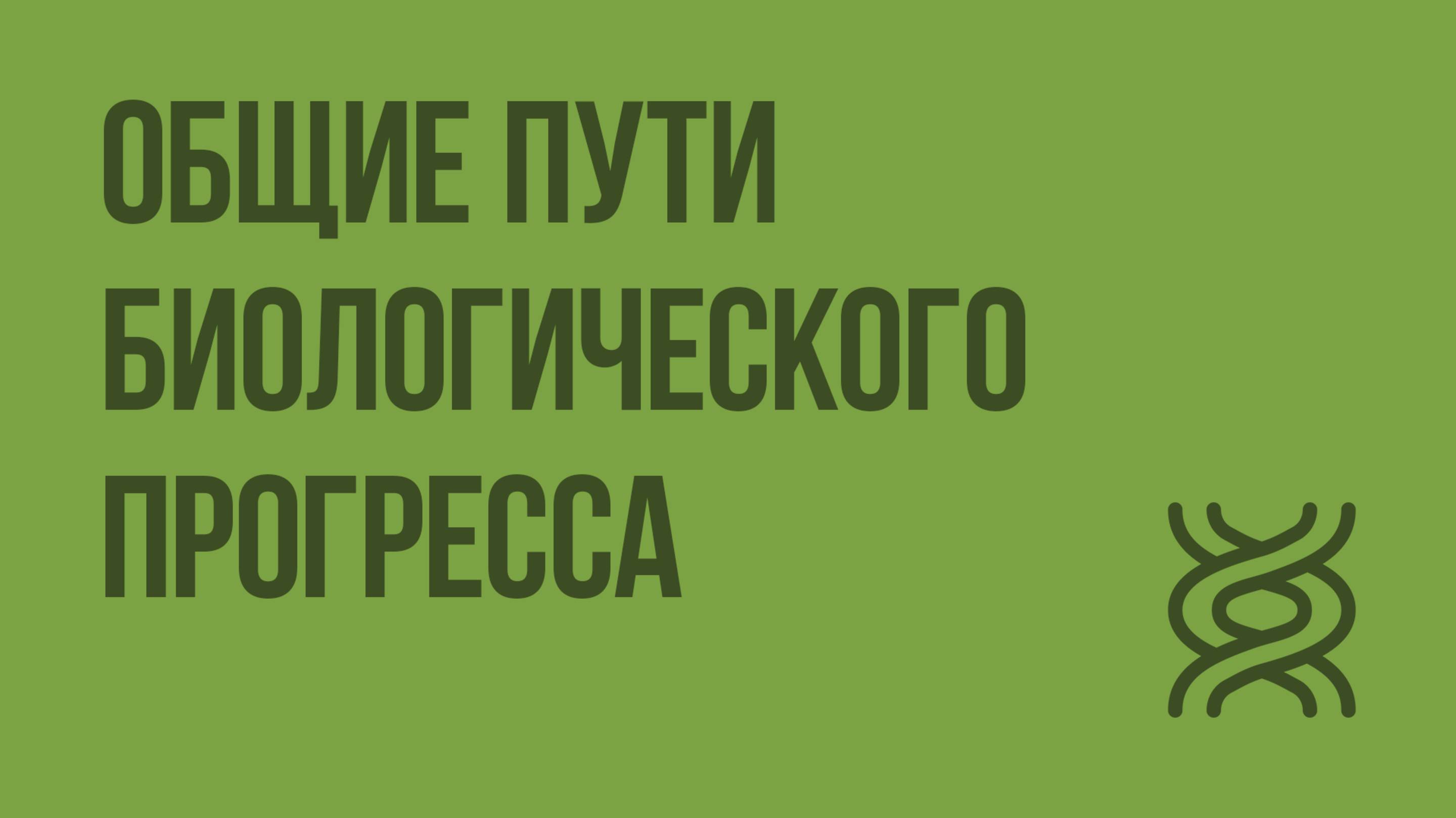 Общие пути биологического прогресса. Видеоурок по биологии 11 класс