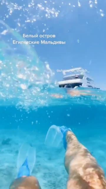 #Шармэльшейх#Шарм-эль-Шейх #Sharm el-Sheikh #egypt #sharmelsheikh #hurghada #pyramid #travel #沙姆沙伊赫