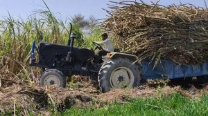 Sugarcanes Farming i awraj swaraj 745 FE Pulling 15  Tons Load i pulled hello kisan ek kisan mitra