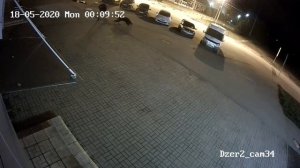 В Ярославле на улице медведь напал на человека