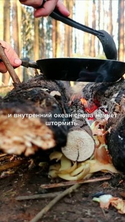 Про вирус бродяжничества у туристов 2.