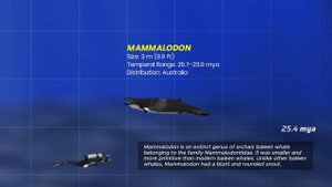 The Evolution of Whales from Land to Sea - Time Lapse Size Comparison