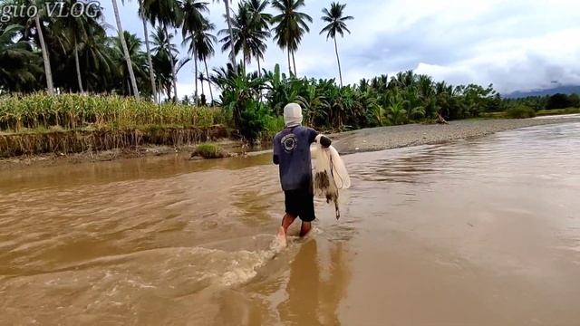 JALA IKAN DI SUNGAI KECIL DAN KERUH,  IKANNYA BANYAK.!!! Amazing fishing nets смотреть онлайн