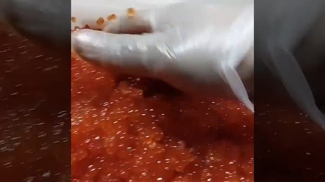 Икра Красная в Томске КЕТА! Качество ПРЕМИУМ!Камчатская! Икринка к Икринке! На сайте ikra70.ru смотреть онлайн