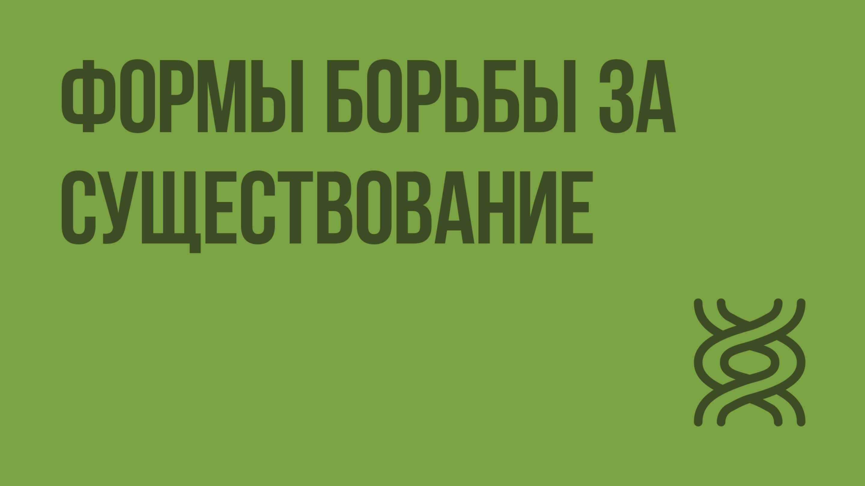 Формы борьбы за существование. Видеоурок по биологии 11 класс