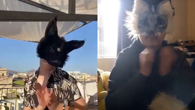 happy hare смотреть онлайн