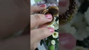 Муха жёлтая (лыска) Обзор видео мухи