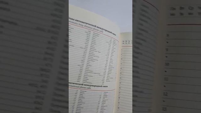 Ежедневник в подарочном исполнении ручной работы "Дирижабль"