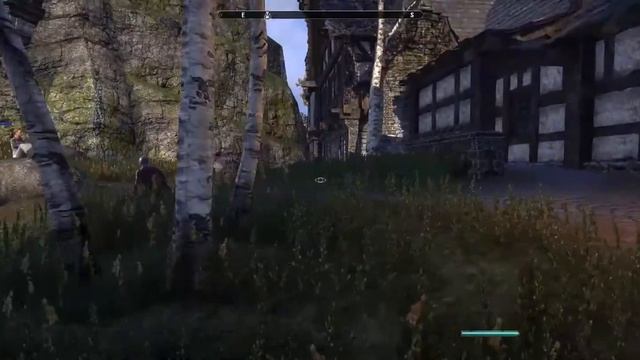 Elder Scrolls Online | Pegged смотреть онлайн