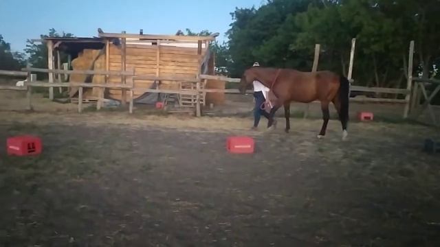 Ольга Фролова и Марафон. Уровень 2. Технический этап