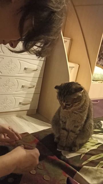 чихаю смотреть онлайн