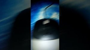 Прыгающая комнатная муха | Эксперименты