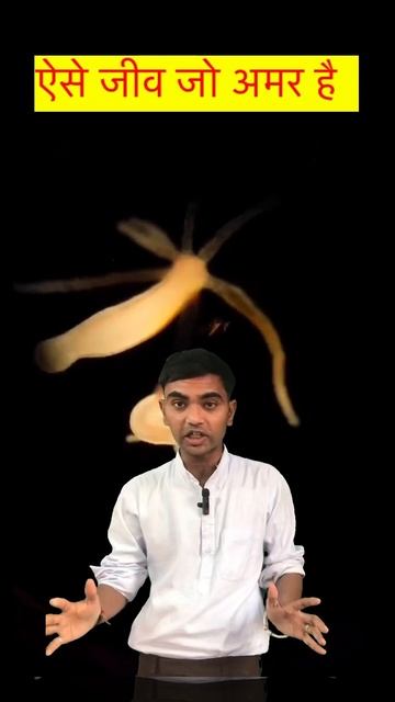 ऐसे जीव जो अमर है । यह जानवर कभी नहीं मरता #planariyaflatworm #worm #hydra #algae #fungae #short смотреть онлайн