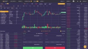 Как создать ордер на криптовалютой бирже Coinsbit