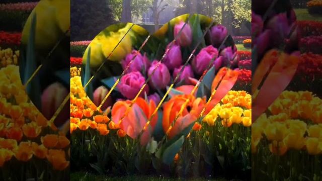 Алексей Брянцев: Я выпью,женщины, за вас! смотреть онлайн