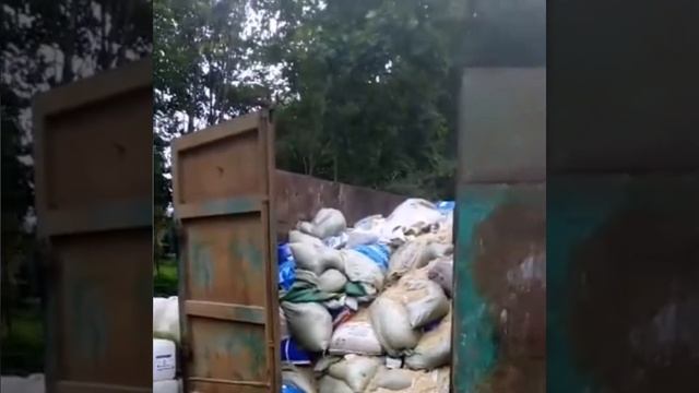 Друзья! Вы только посмотрите на нашу пухту! Она полная! Мы на сегодня заказали вывоз мусора, но... смотреть онлайн