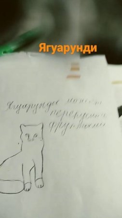 17 марта 2023 г.