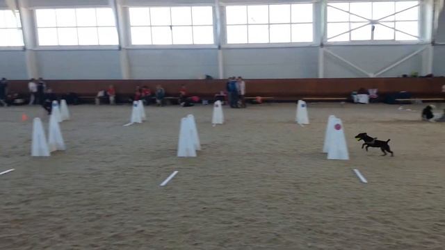 Фламинго/Кузьминки-3 смотреть онлайн