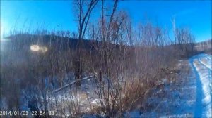 Охота на кабана 2017(2)